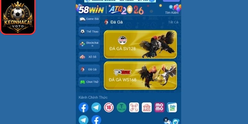 58win – Nền Tảng Giải Trí Cá Cược uy tín Hàng Đầu Việt Nam 2 Đá gà trải nghiệm kịch tính