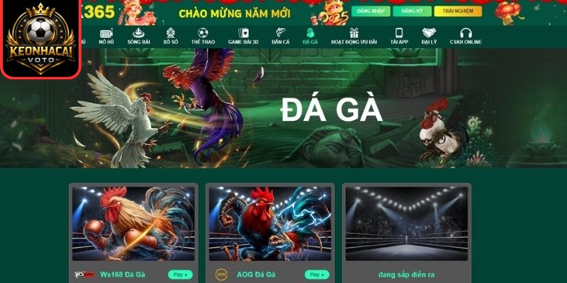 OK365 – Sân Chơi Cá Cược Trực Tuyến Đa Dạng và Uy Tín 2 Đá gà online OK365 kịch tính