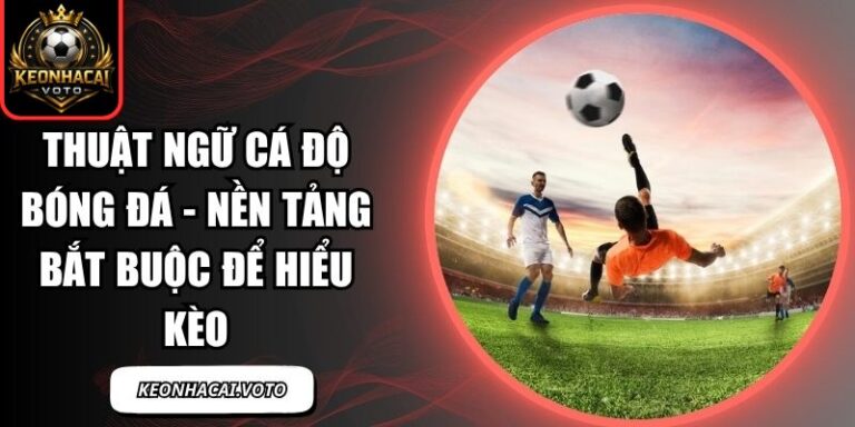 Thuật Ngữ Cá Độ Bóng Đá - Nền Tảng Bắt Buộc Để Hiểu Kèo 9 Thuật ngữ cá độ bóng đá