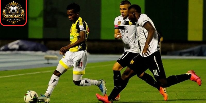 Thông tin lực lượng ra sân Aguilas Doradas vs Alianza Petrolera (04:00 ngày 28/03)