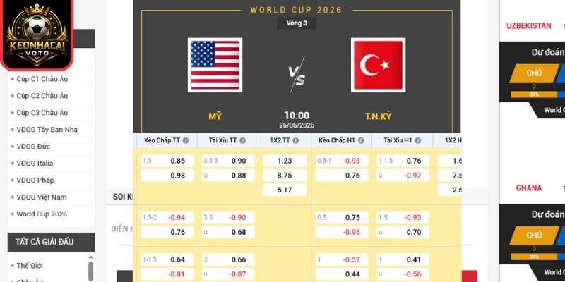 Kèo châu Âu trận Mỹ vs Thổ Nhĩ Kỳ 09:00 ngày 26/06 (Bảng D - World Cup)